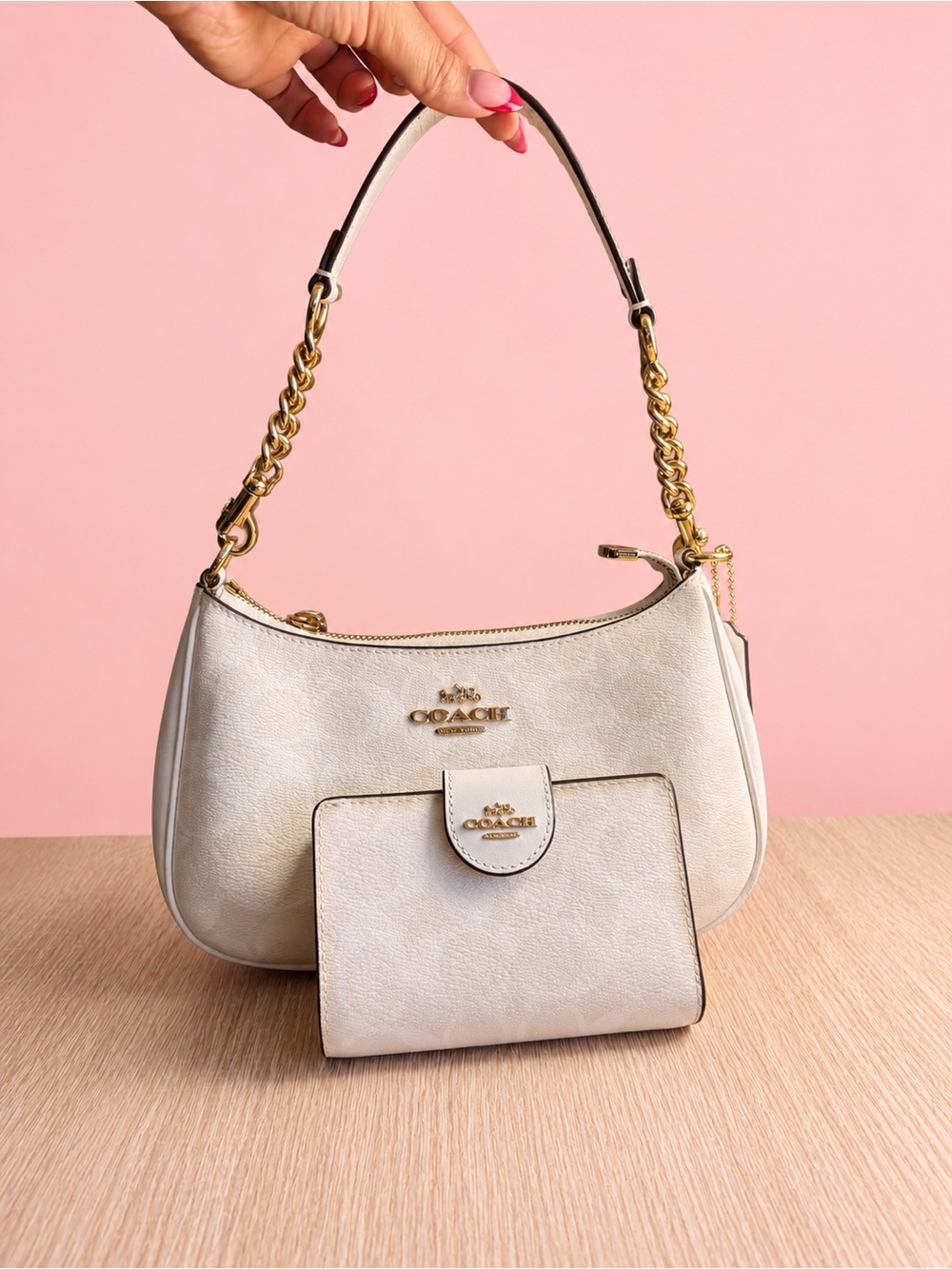 Coach Terri Shoulder Bag with Matching Wallet and Gold Chain